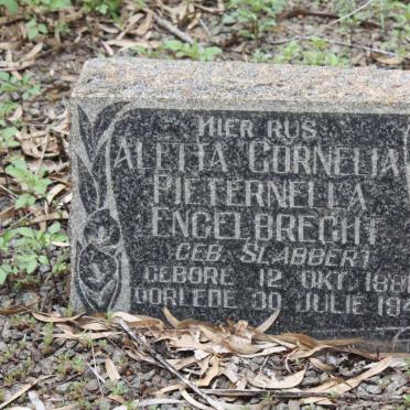 ENGELBRECT Johannes Petrus 1870-1956 &amp; Anna Maria Jacoba VILJOEN 1871-1929