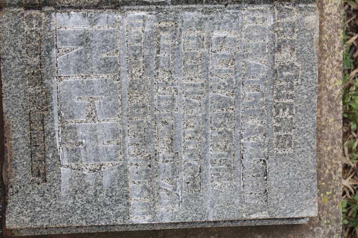 HATTINGH Dorathea Maria Elizabeth nee HATTINGH 1875-1950