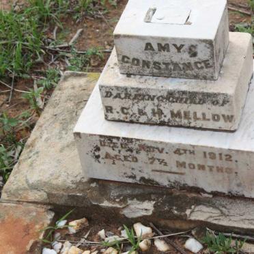 MELLOW Amy Constance -1912