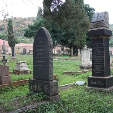 2. Oorsig PISTORIUS grafte