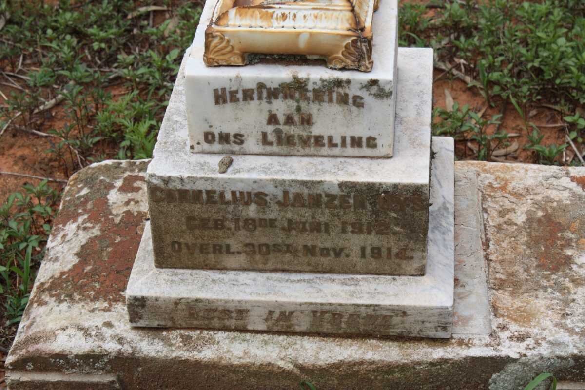 UYS Cornelius Janzen 1912-1914