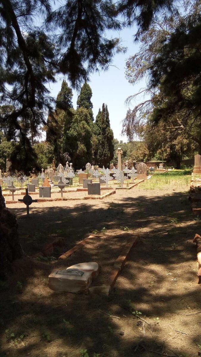 4. Overview / Oorsig