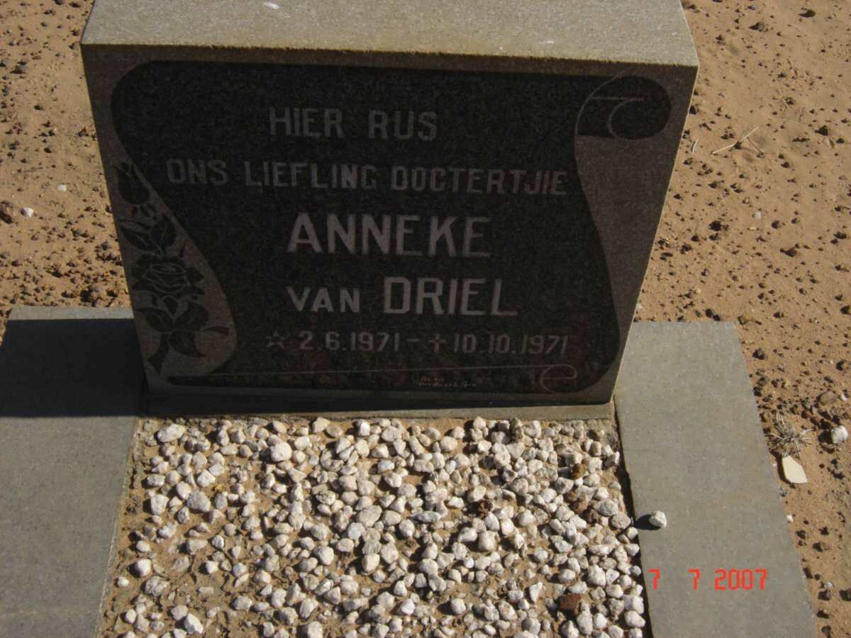 DRIEL Anneke, van 1971-1971