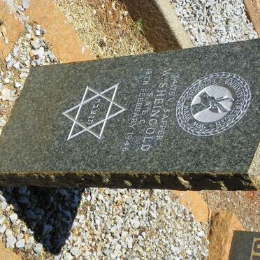 SHEINGOLD Maurice -1946