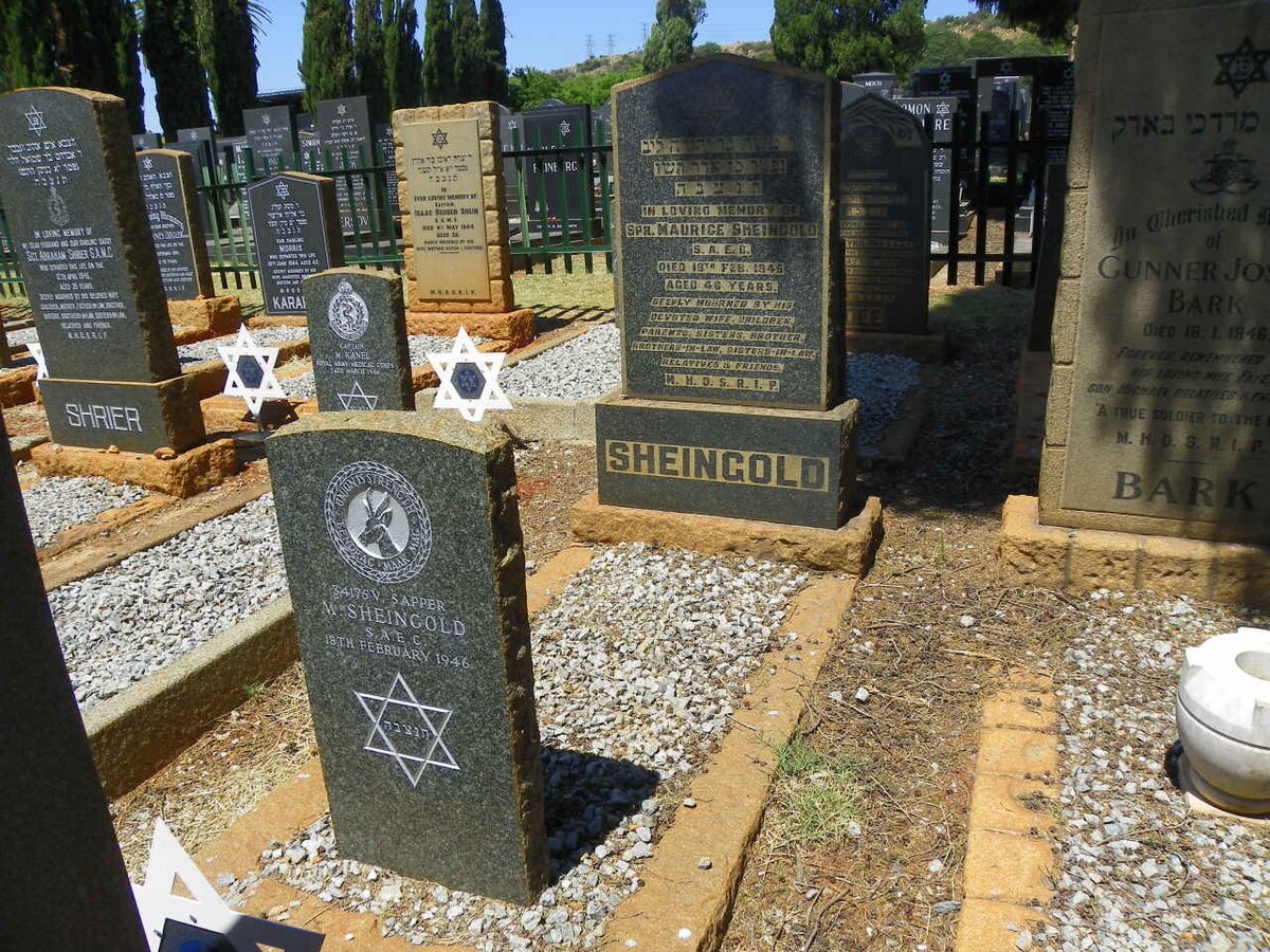 SHEINGOLD Maurice -1946