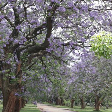 05. Overview / Oorsig