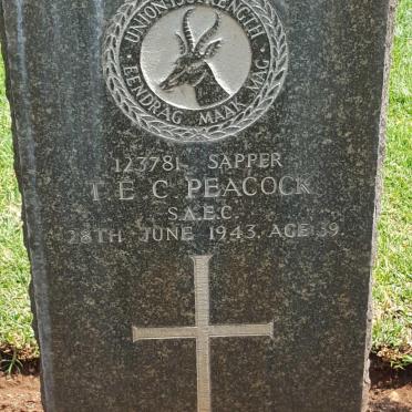 PEACOCK T.E.C. -1943