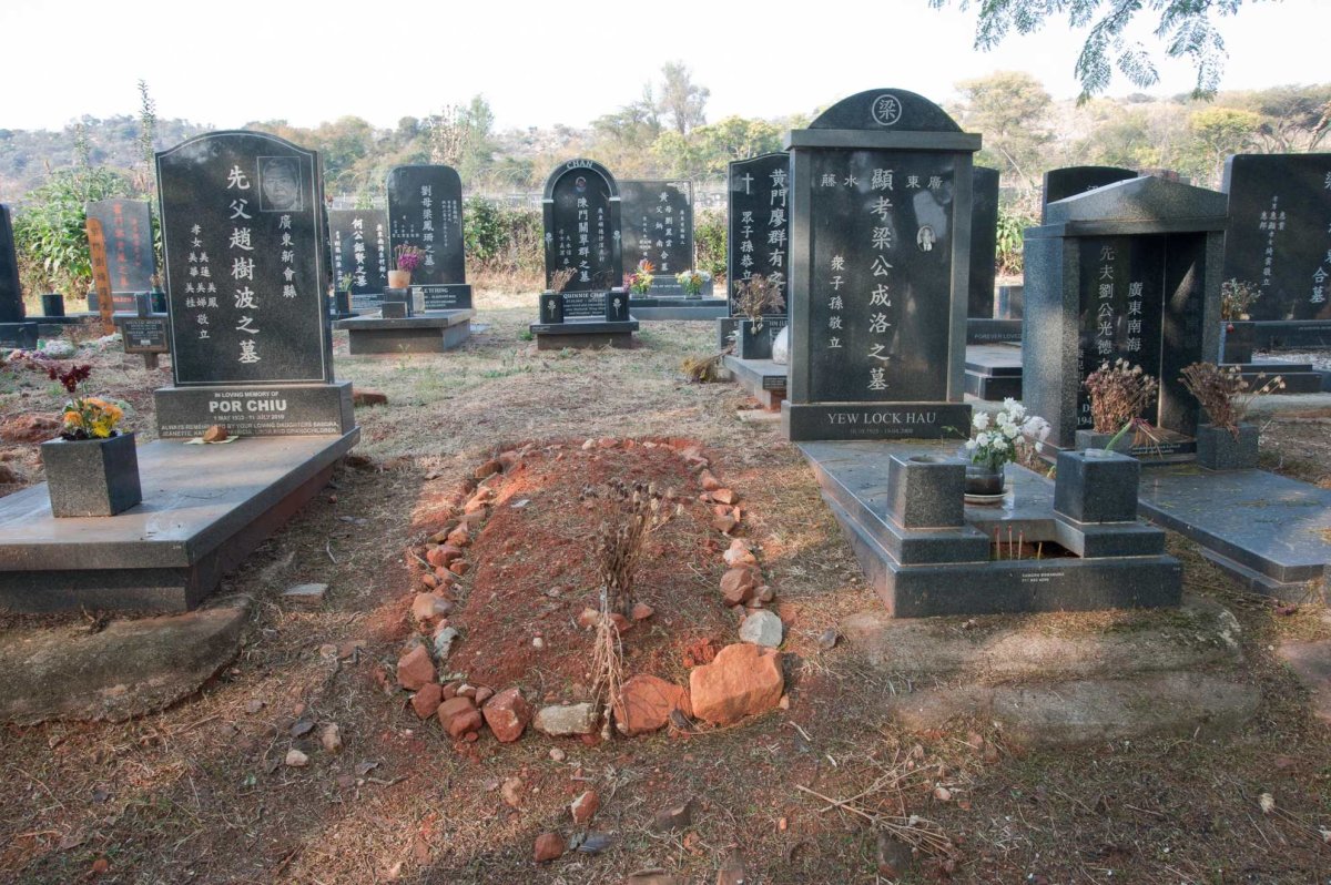 1. Chinese section overview