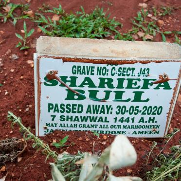 BULL Shariefa -2020