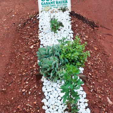 BAUER Gunter Gasant -2020