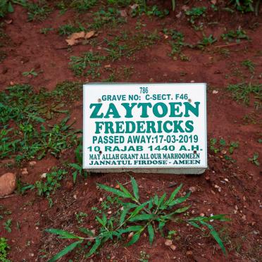 FREDERICKS Zaytoen -2019