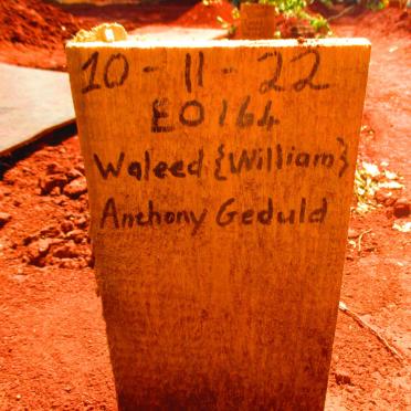 GEDULD Waleed Anthony -2022