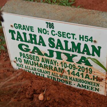 GAJIYA Talha Salman -2019