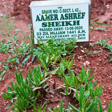 SHEIKH Aamer Ashref -2020