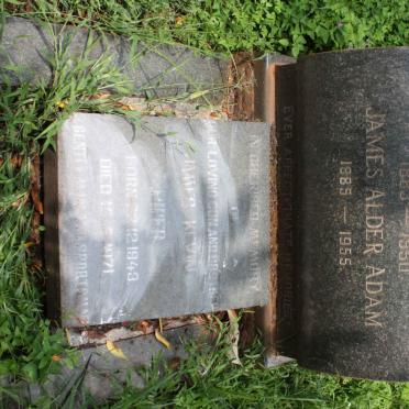 ADAM James Alder 1885-1955 &amp; Sarah Ann ROBINSON 1883-1950 :: PIPER James Kevin 1949-1971