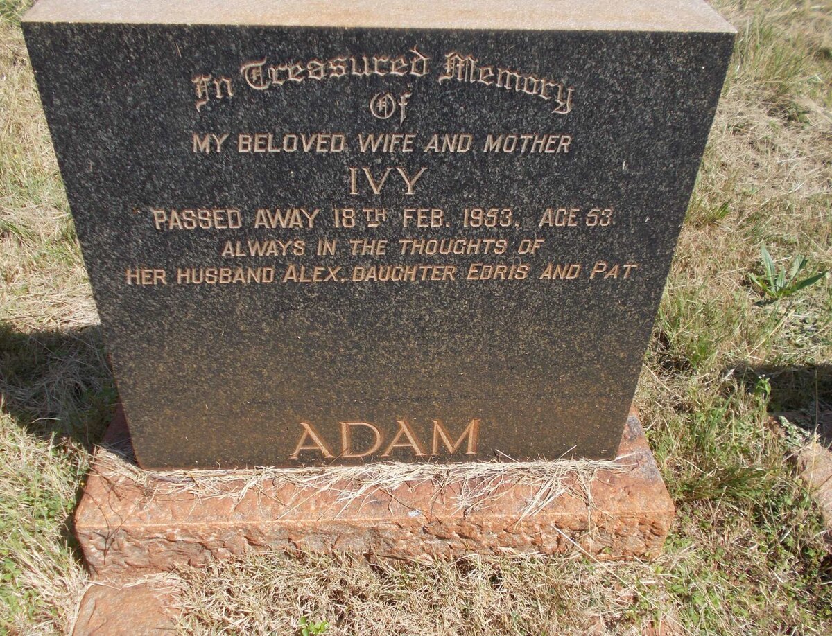 ADAM Ivy -1953