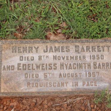 BARRETT Henry James -1950 &amp; Edelweiss Hyacinth -1957