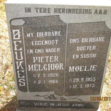 BEUKES Pieter Melchior 1926-1966 :: BEUKES Moelie 1955-1973