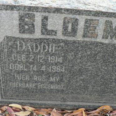 BLOEM ? 1914-1964