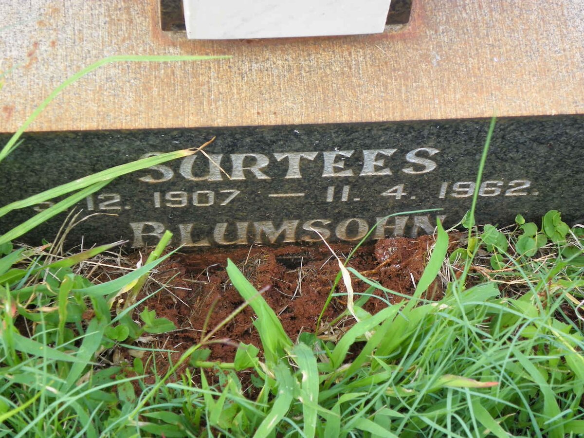 BLUMSOHN Surtees 1907-1962 :: ? Jack :: ? June