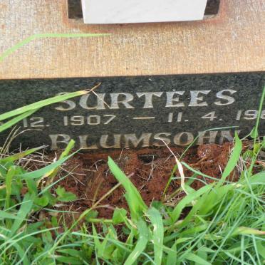 BLUMSOHN Surtees 1907-1962 :: ? Jack :: ? June