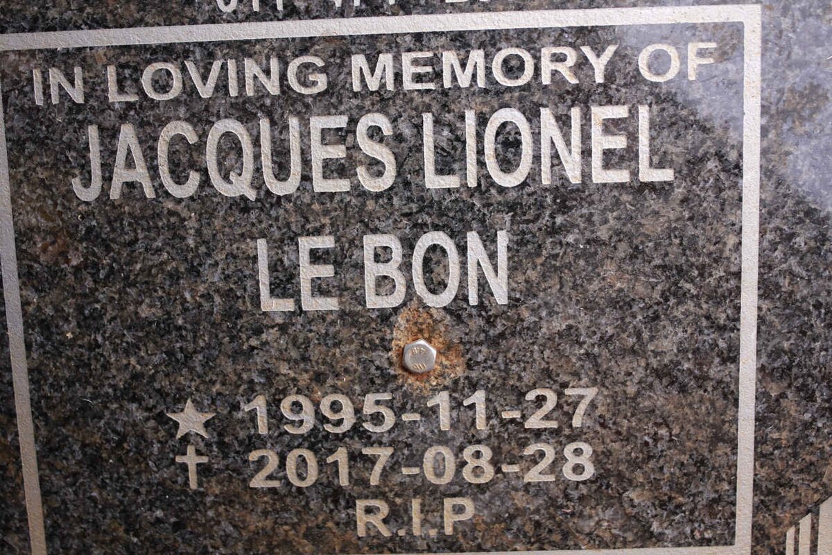 BON Jacques Lionel, le 1995-2017