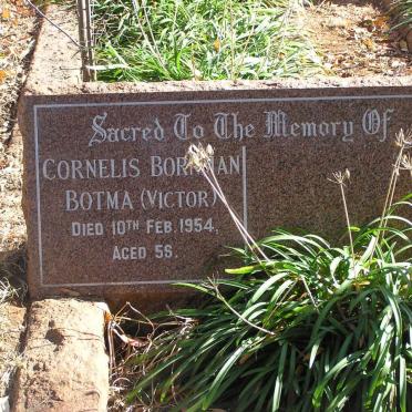 BOTMA Cornelis Bornman -1954