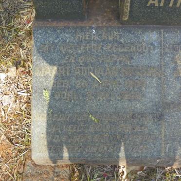 BOTHMA Jan Daniel 1900-1954 :: BOTHMA Tjaart Adriaan 1907-1943  