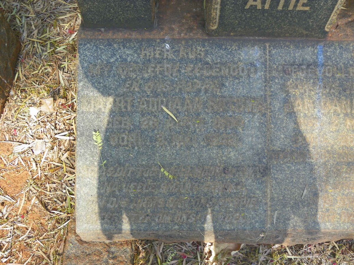 BOTHMA Jan Daniel 1900-1954 :: BOTHMA Tjaart Adriaan 1907-1943  