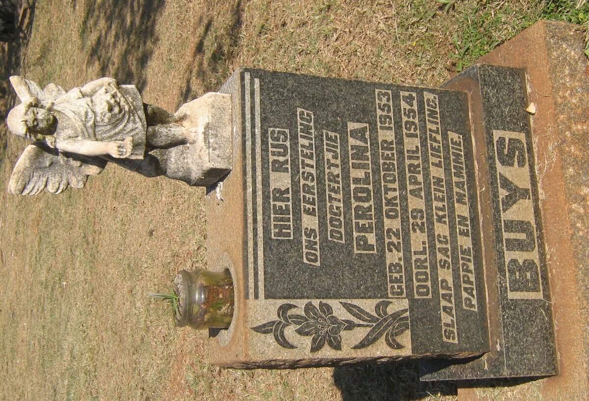 BUYS Perolina 1953-1954