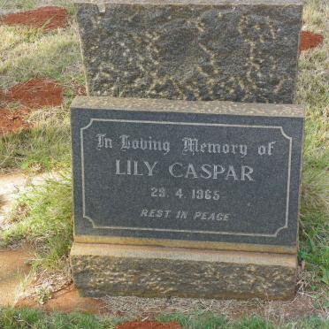 CASPAR Lily -1965