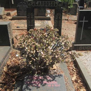 CARDOSO Conceicao Pereira 1911 -1987 :: CARDOSO Maria Da Conceicao Peieira 1???-1957