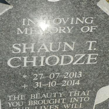 CHIODZE Shaun T. 2013-2014