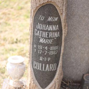COLLARD Johanna Catherina 1886-1967