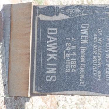 DAWKINS Gwen nee CRONJE 1924-1969