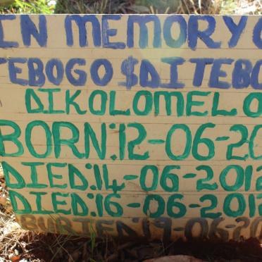 DIKOLOMELO Tebogo 2012-2012 :: DIKOLOMELO Ditebogo 2012-2012