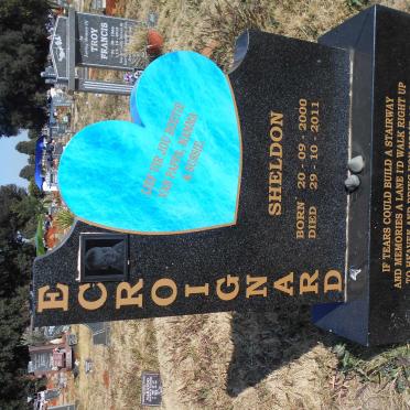 ECROIGNARD Sheldon 2000-2011