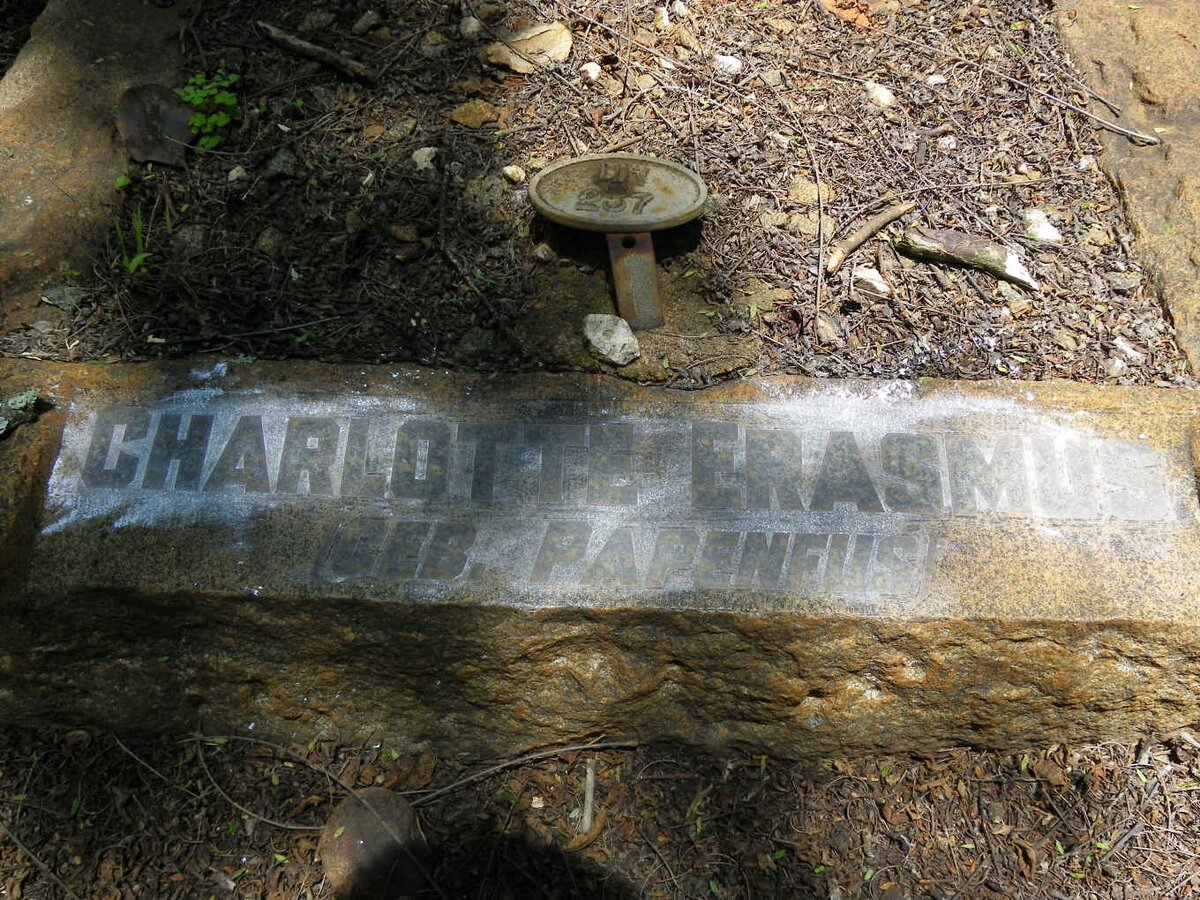 ERASMUS Charlotte nee PAPENFUS