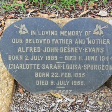 EVANS Alfred John Desney 1889-1944 &amp; Charlotte Sarah Louisa SPURGEON 1895-1955