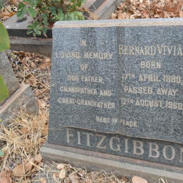 FITZGIBBON Bernard Vivian 1880-1960