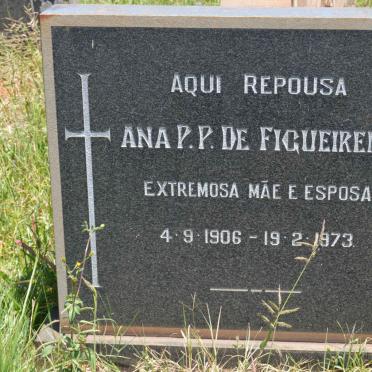 FIGUEIREDO Ana P.P., de 1906-1973