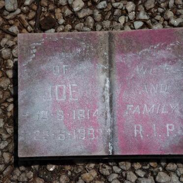 GIOVE Francesca nee ROSSIELLO 1892-1952 :: GIOVE Joe 1914-1953