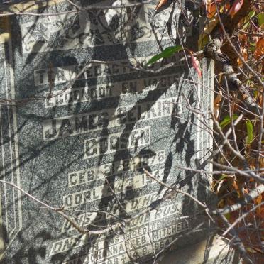 GOOSEN James Selkirk 1876-1945 &amp; ?na Johanna MITCHELL ???8-1964