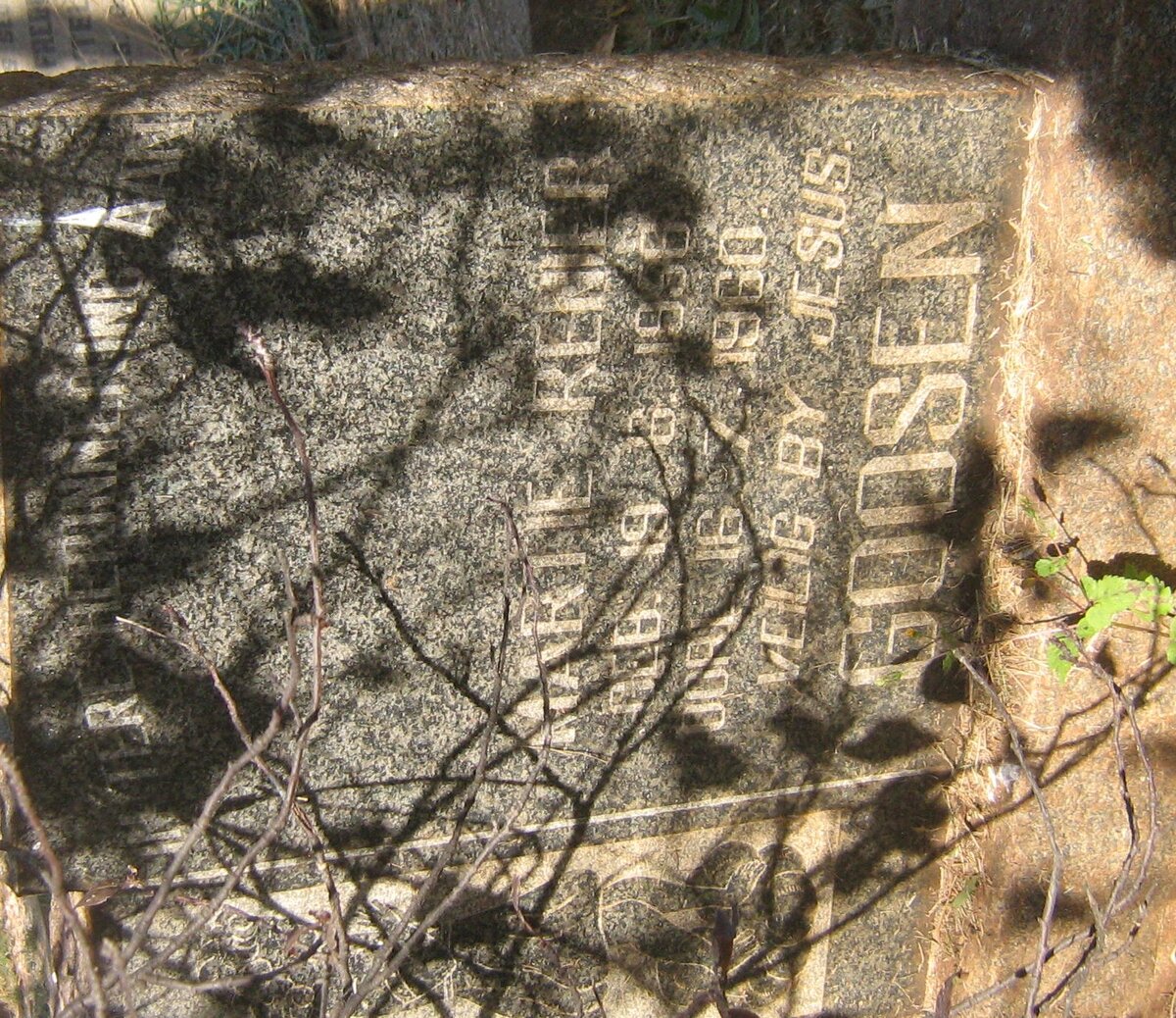 GOOSEN Martie Renier 1956-1960