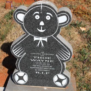 GONDWE Theo Wayne 2016-2019