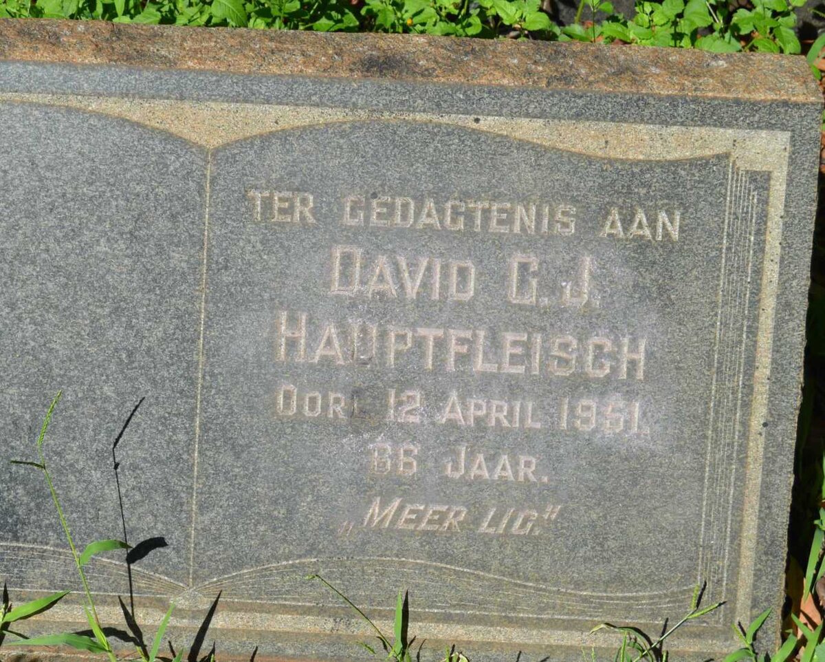 HAUPTFLEISCH David G.J. -1951