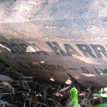 HARRIS Dora 1869-1951