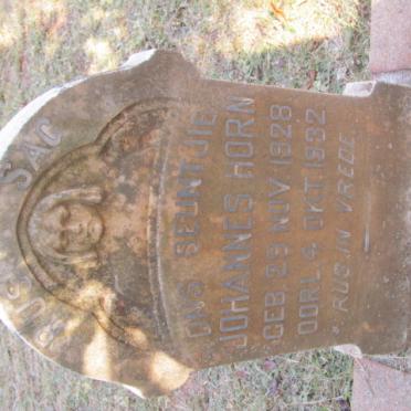 HORN Johannes 1928-1932