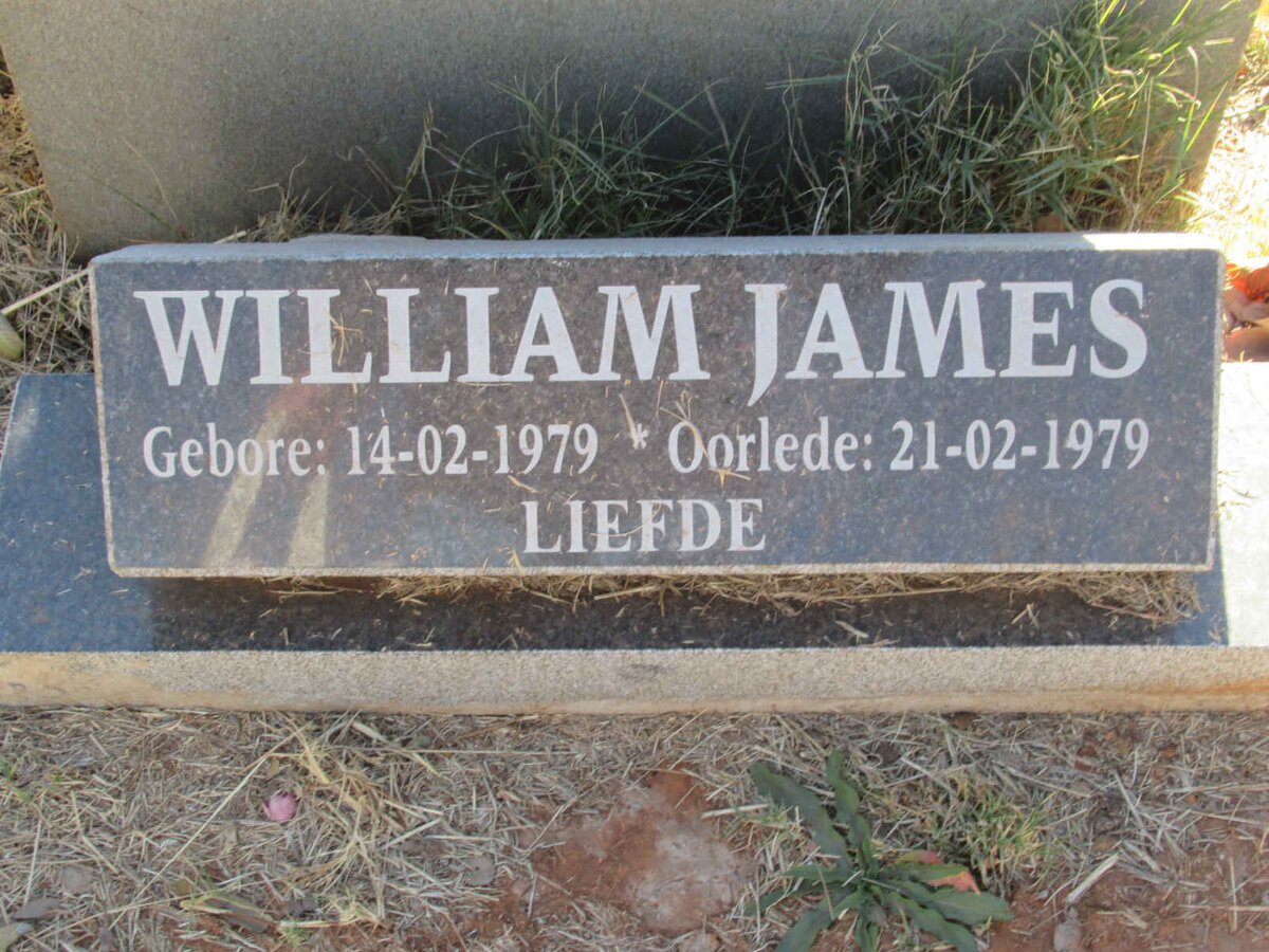 JAMES William 1979-1979