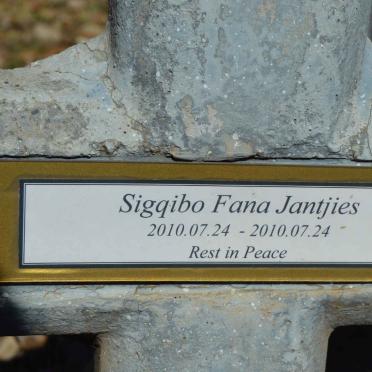 JANTJIES Sigqibo Fana 2010-2010